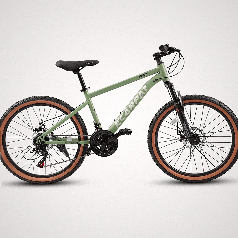 24" Mountain Bike for Teens: Steel Frame, 21-Speed Disc Brakes, 250lb Capacity